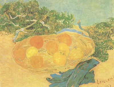  Still life:Oranges,Lomons and Blue Gloves (nn04)